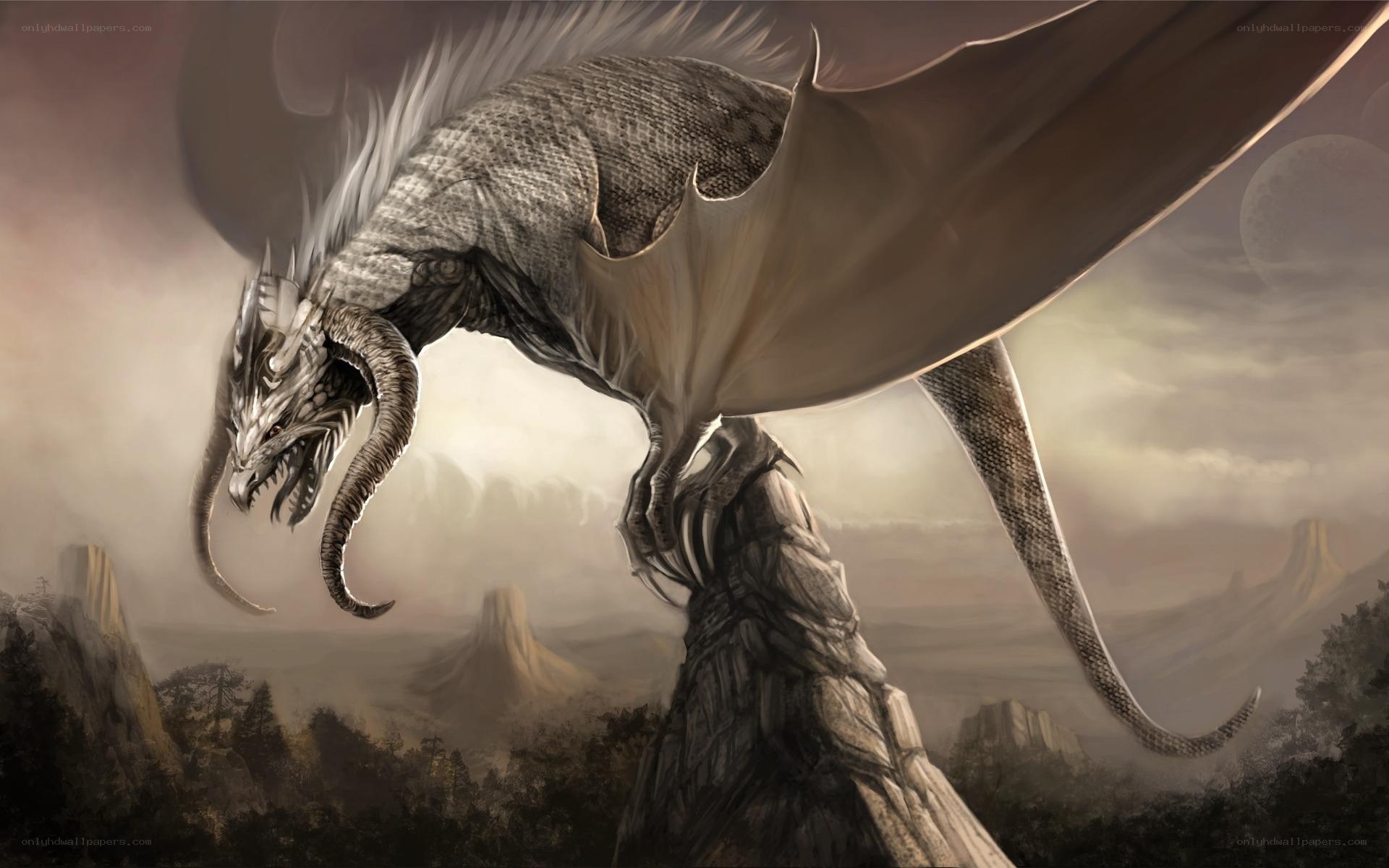 dragon perched on a rock