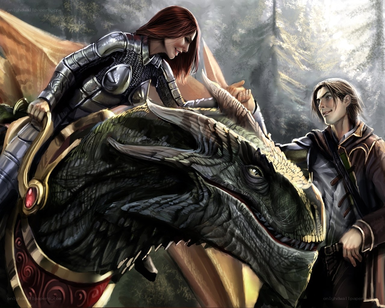 dragon rider and companion