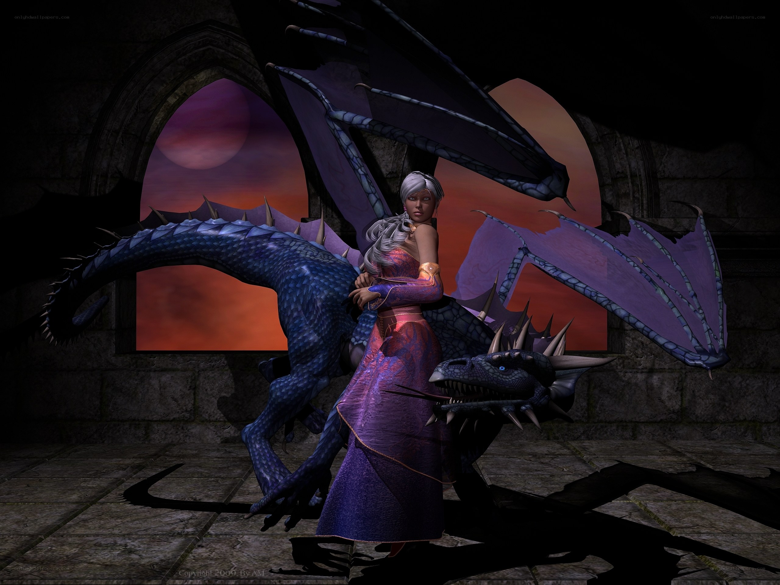 dragon rider in a castle