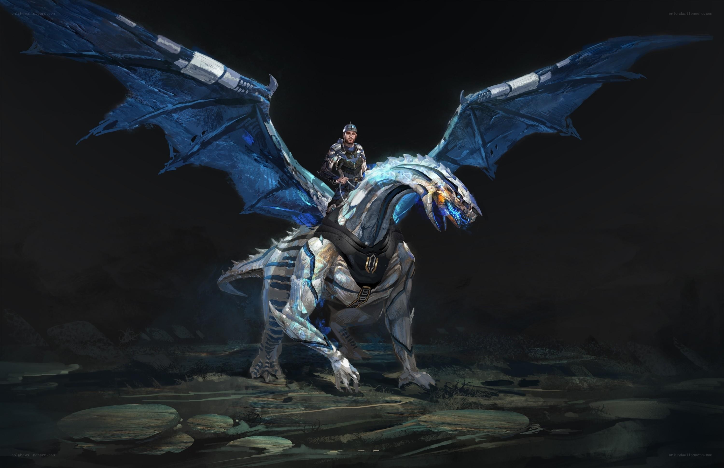 dragon rider in dark landscape