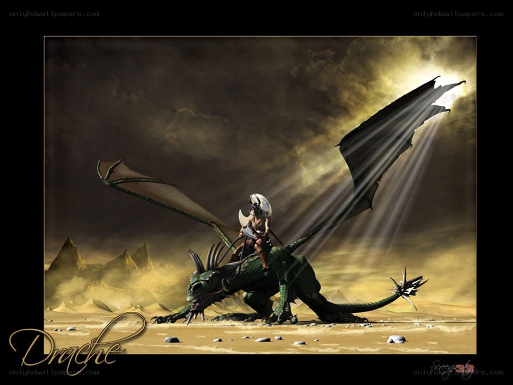 dragon rider in desert