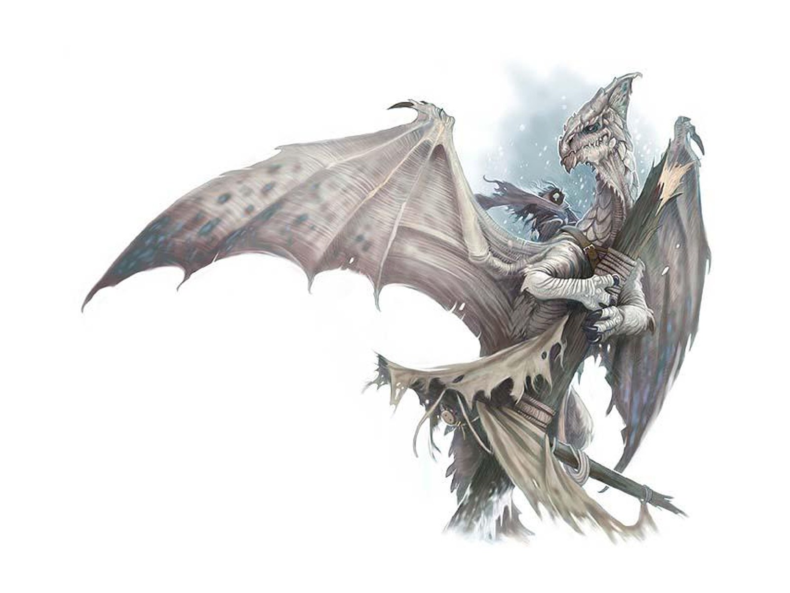 dragon rider in flight