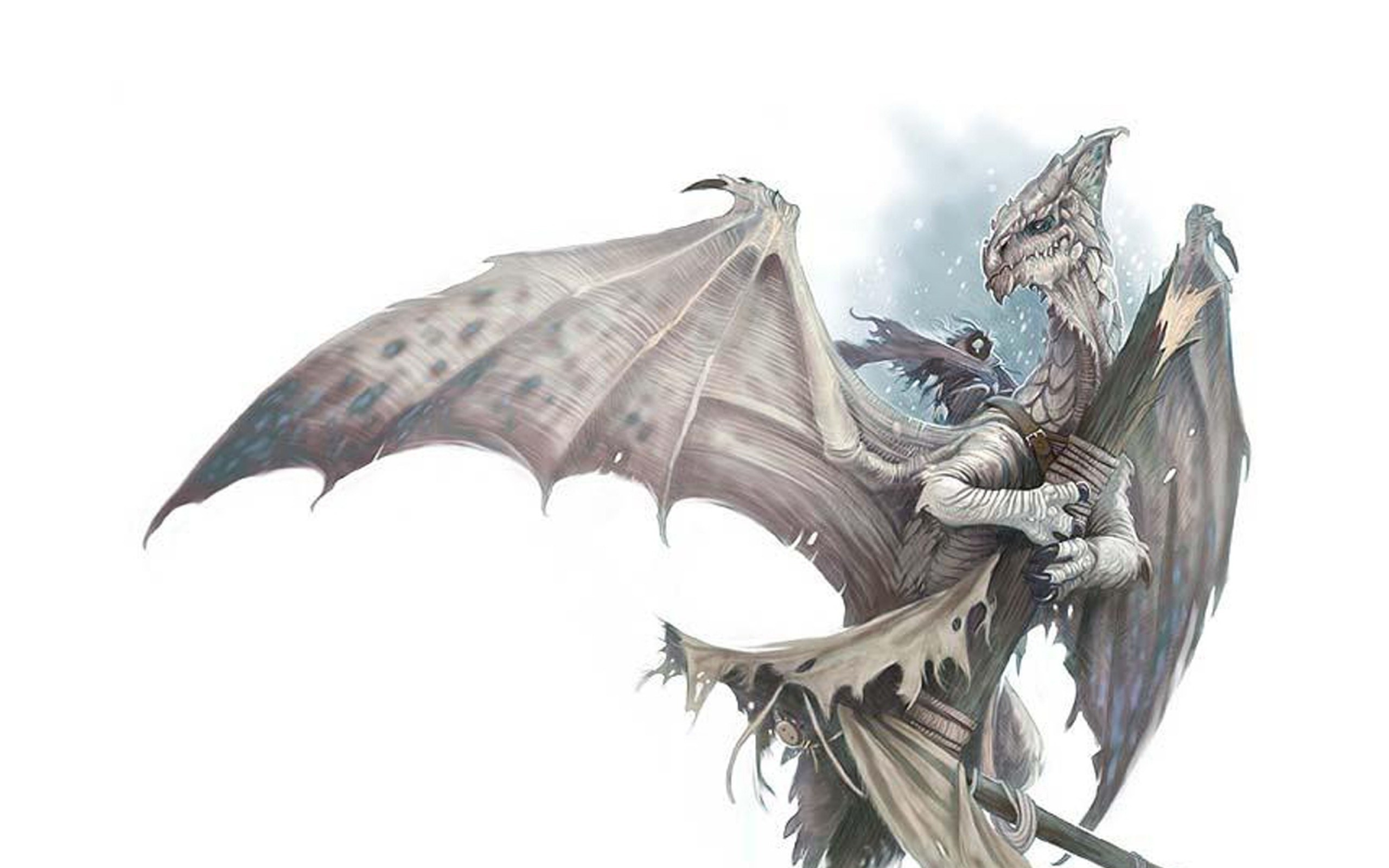 dragon rider in flight