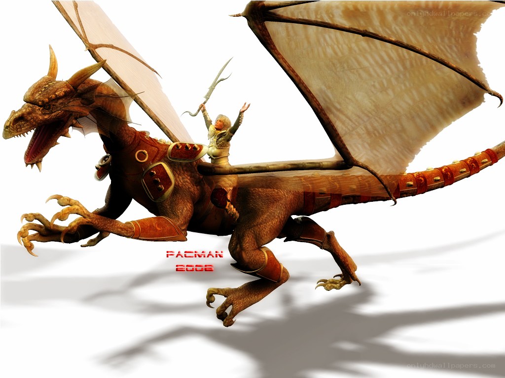 dragon rider in flight