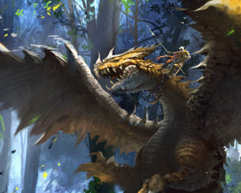 Dragon Rider in Forest