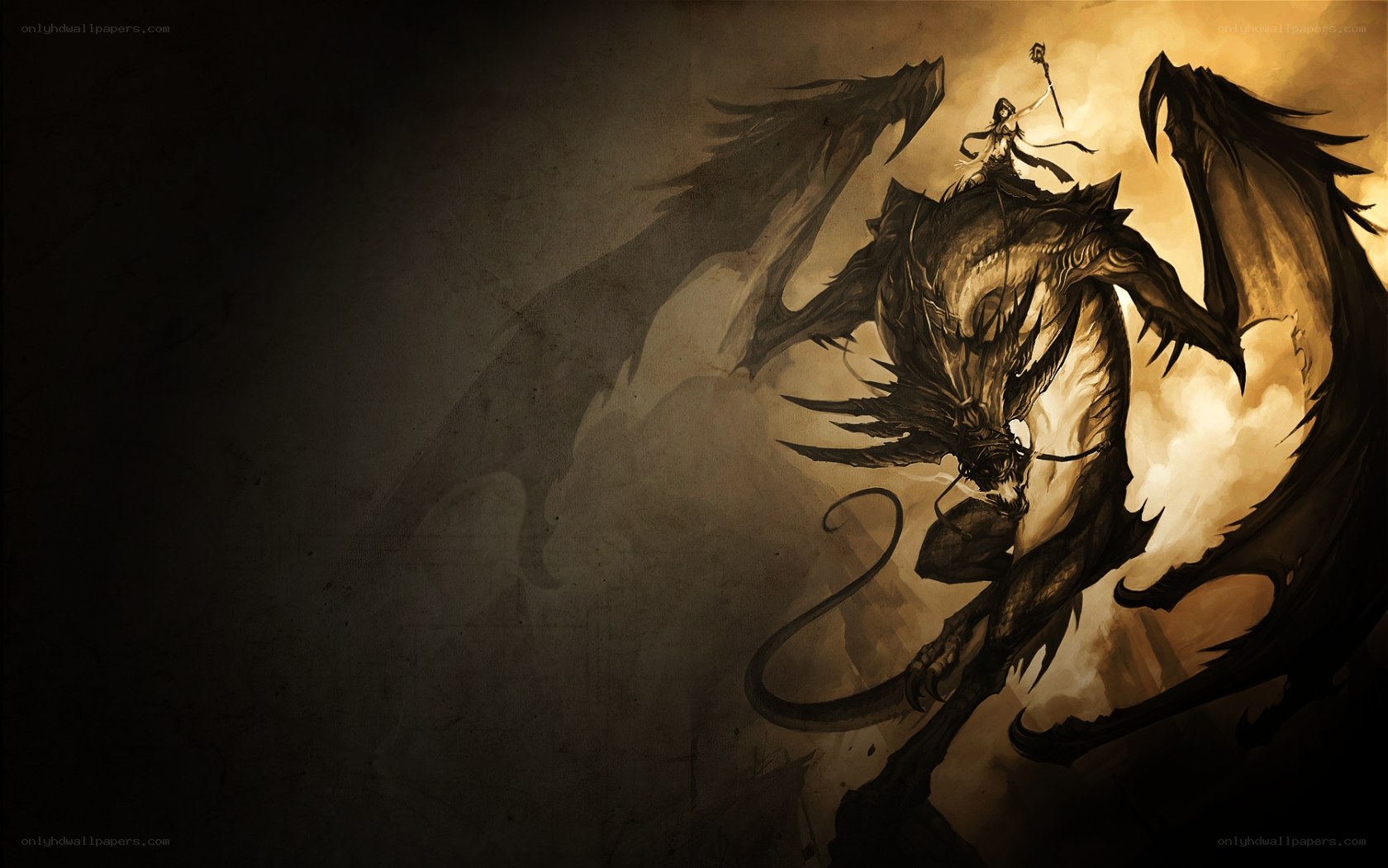dragon rider in golden light