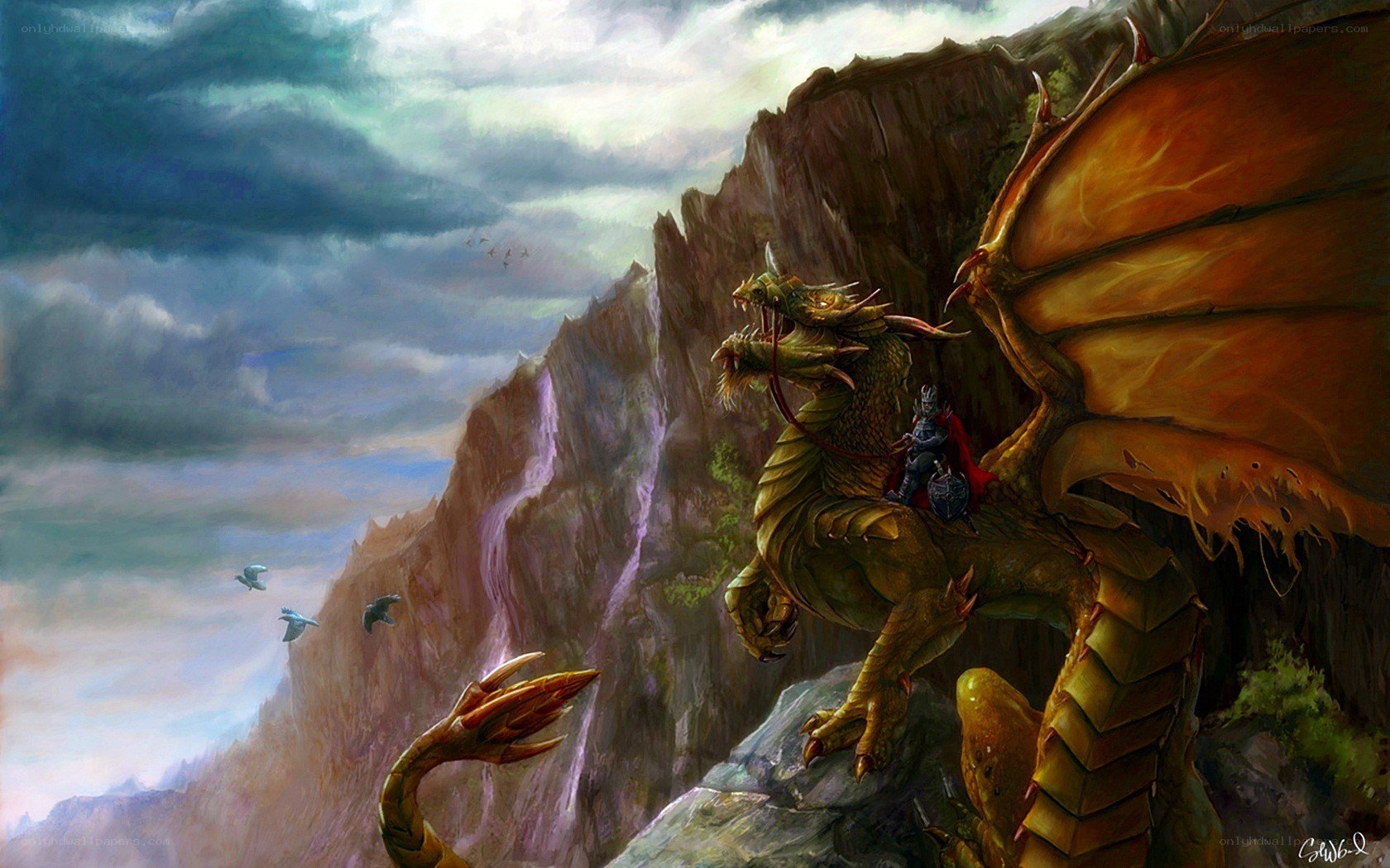 dragon rider on a cliff