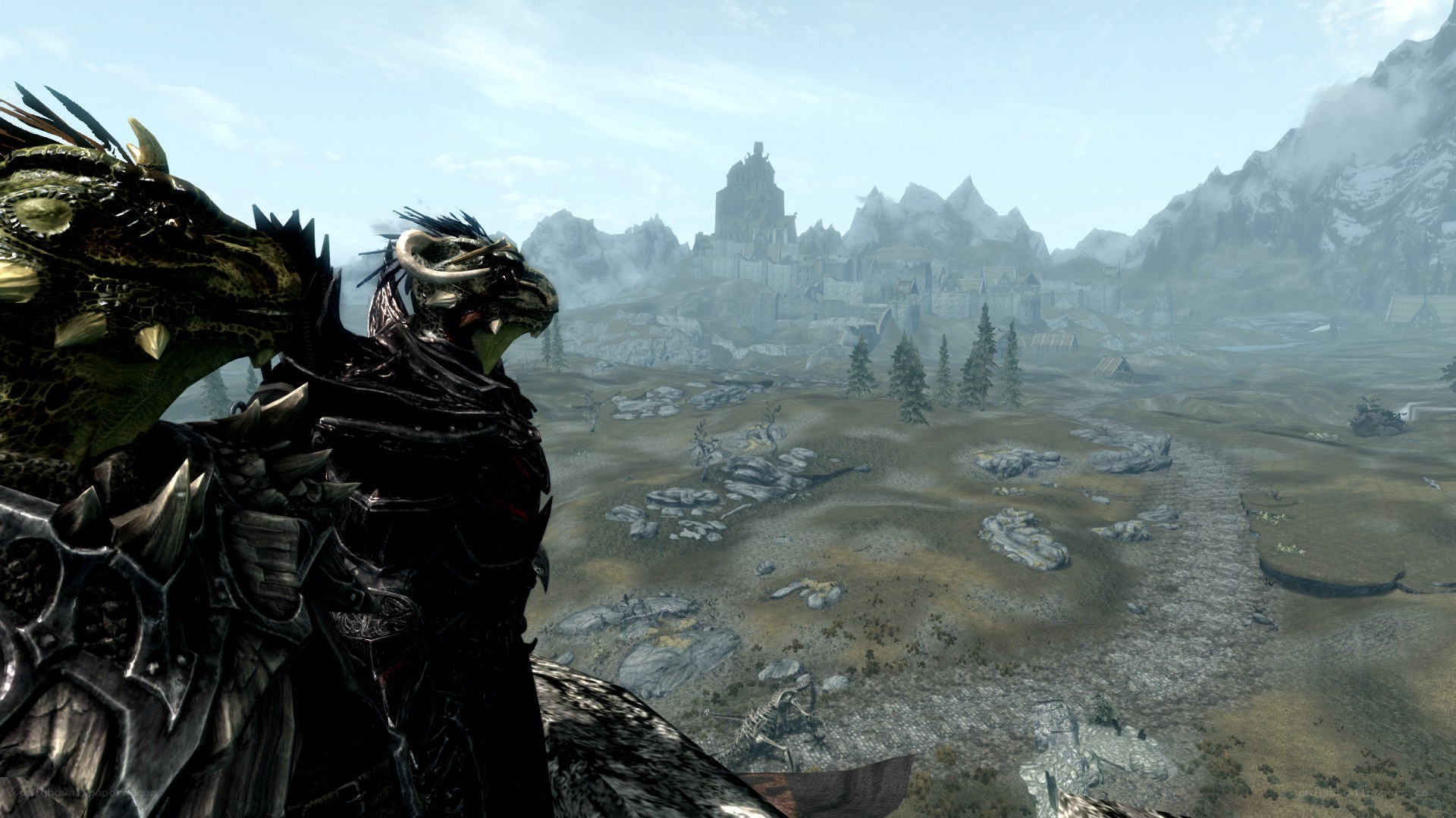 dragon rider overlooks a castle