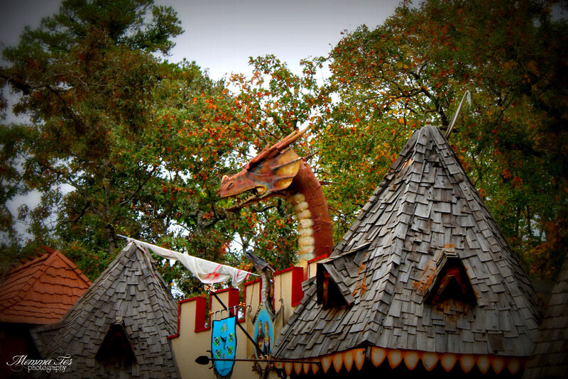 Dragon Sculpture on Building — Brown