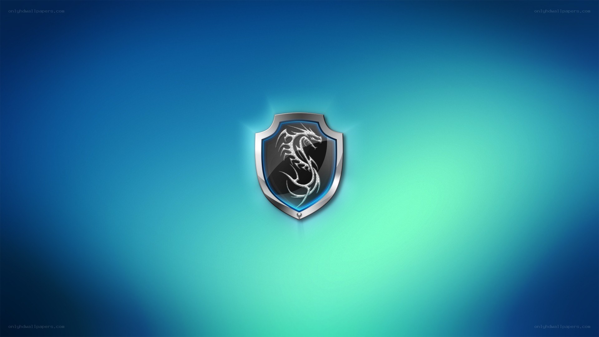 dragon shield emblem