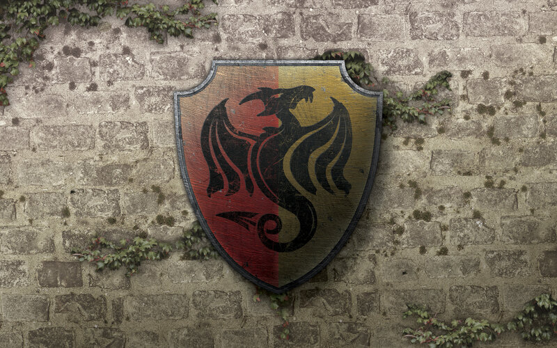 Dragon shield on stone wall