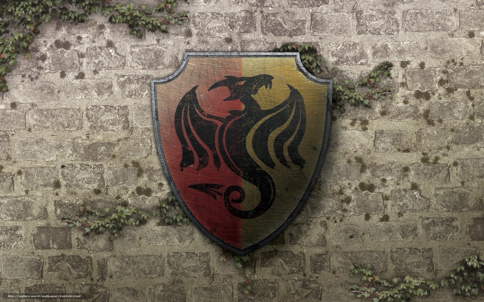 dragon shield on stone wall
