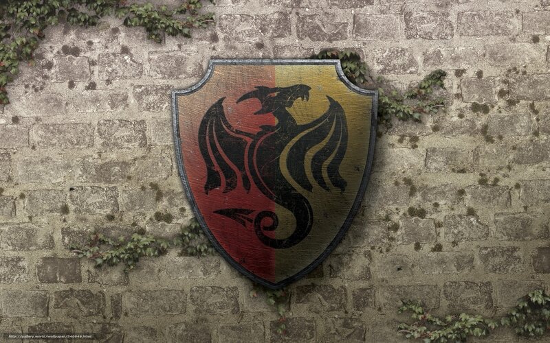 Dragon Shield on Wall