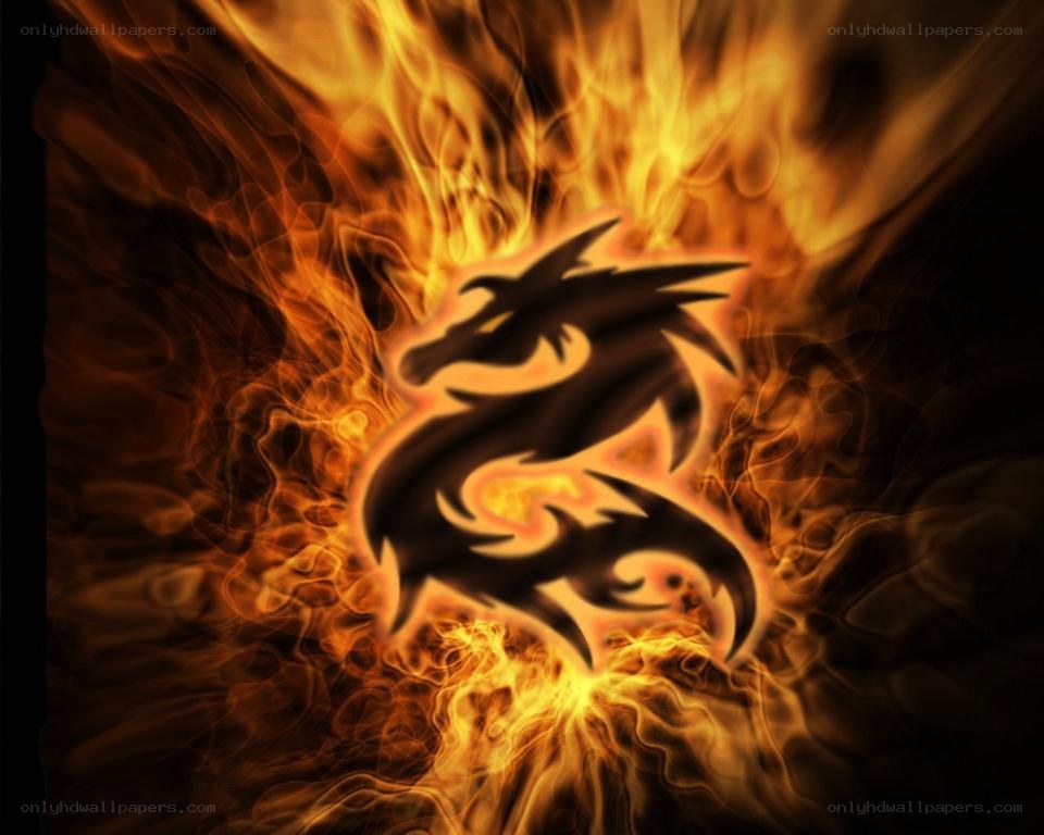 dragon silhouette in flames