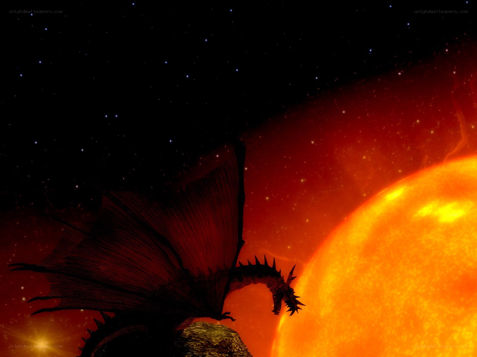 Dragon silhouetted against a starry sky