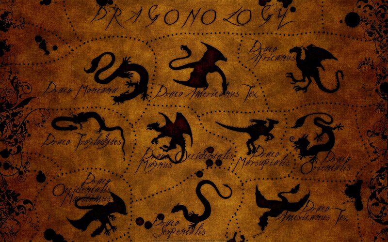 Dragon Silhouettes on Map — Brown