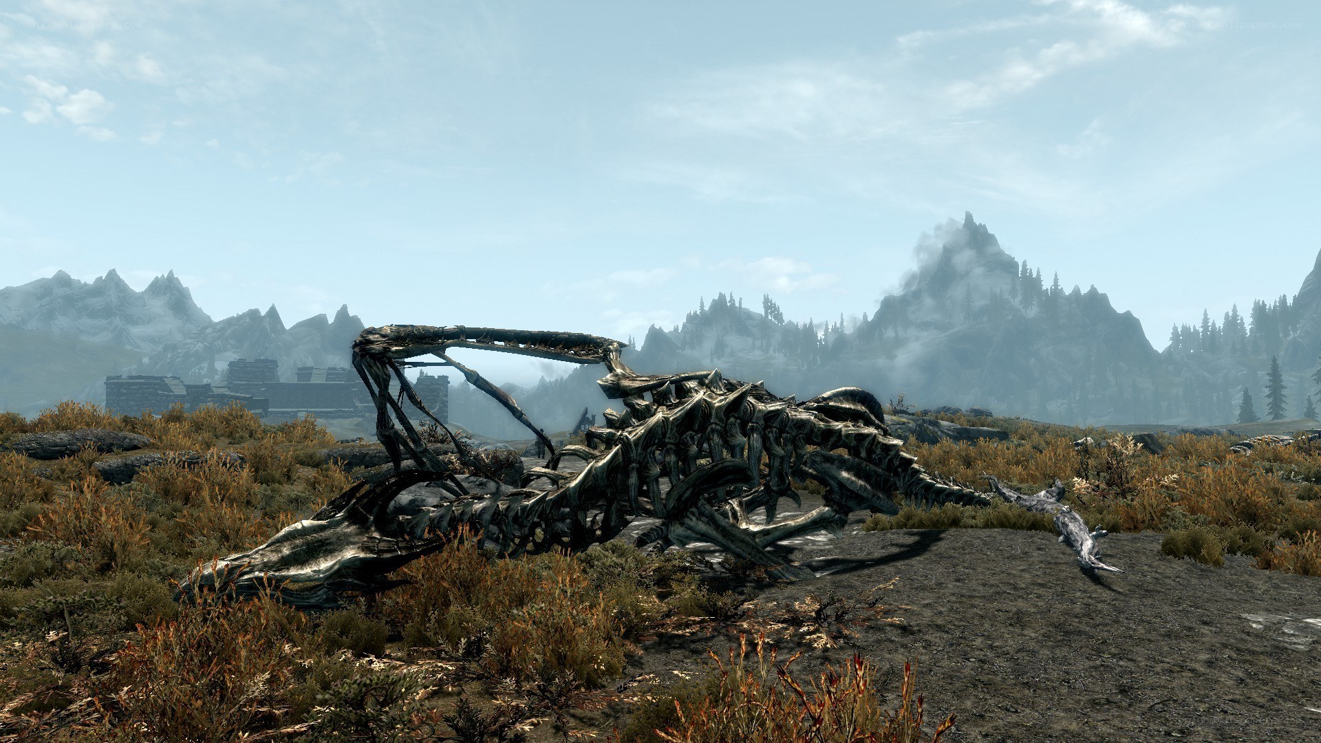 dragon skeleton in a field