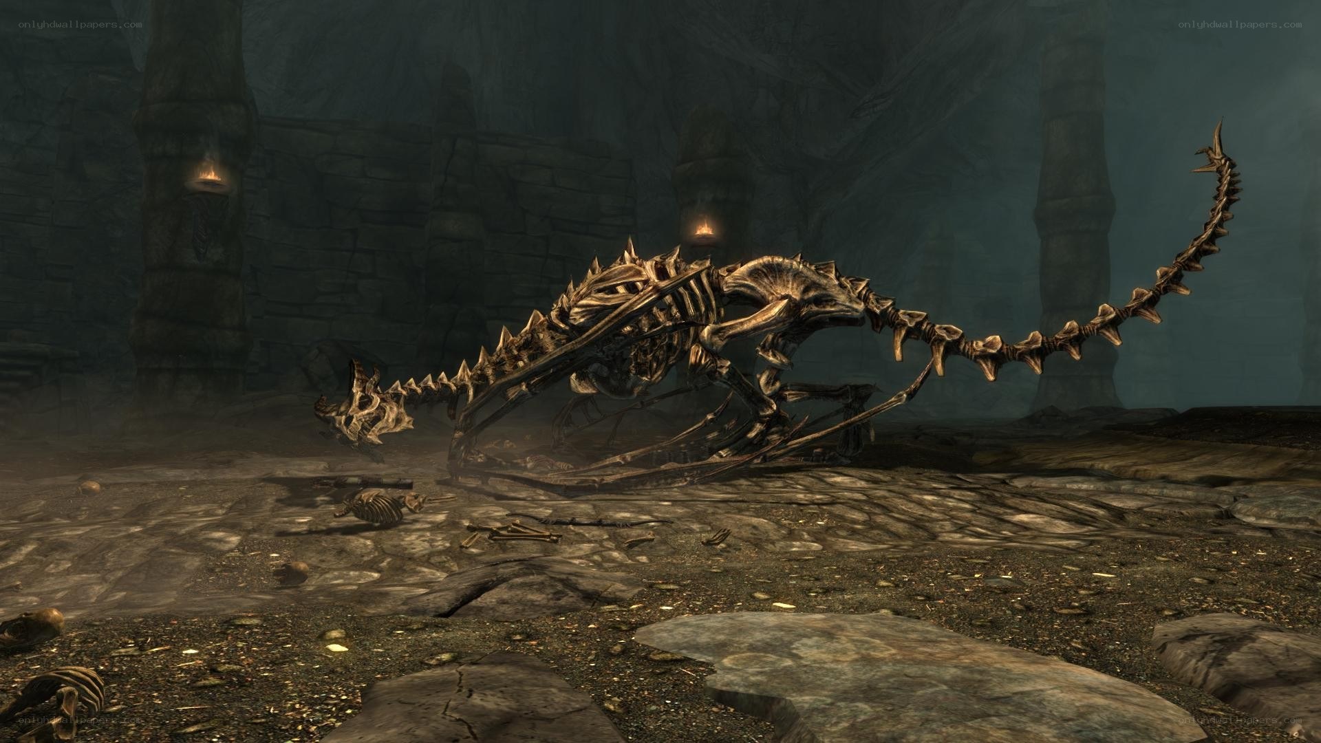 dragon skeleton in ancient ruin
