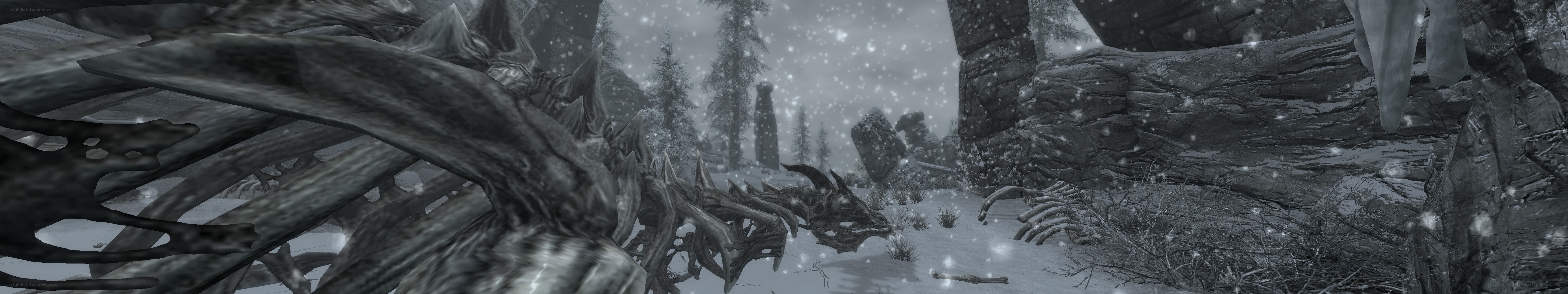dragon skeleton in snowy forest