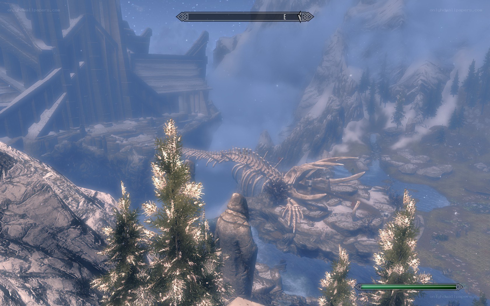 dragon skeleton in snowy landscape