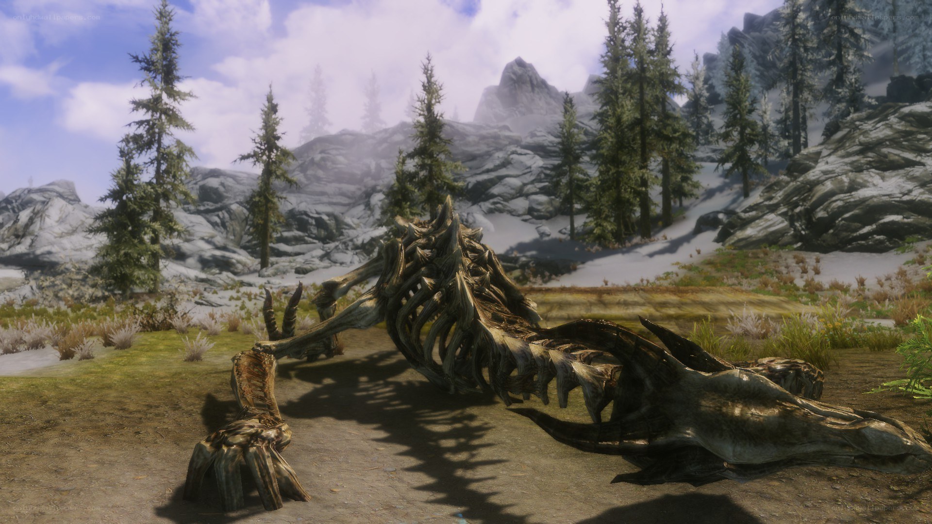 Dragon skeleton in snowy landscape