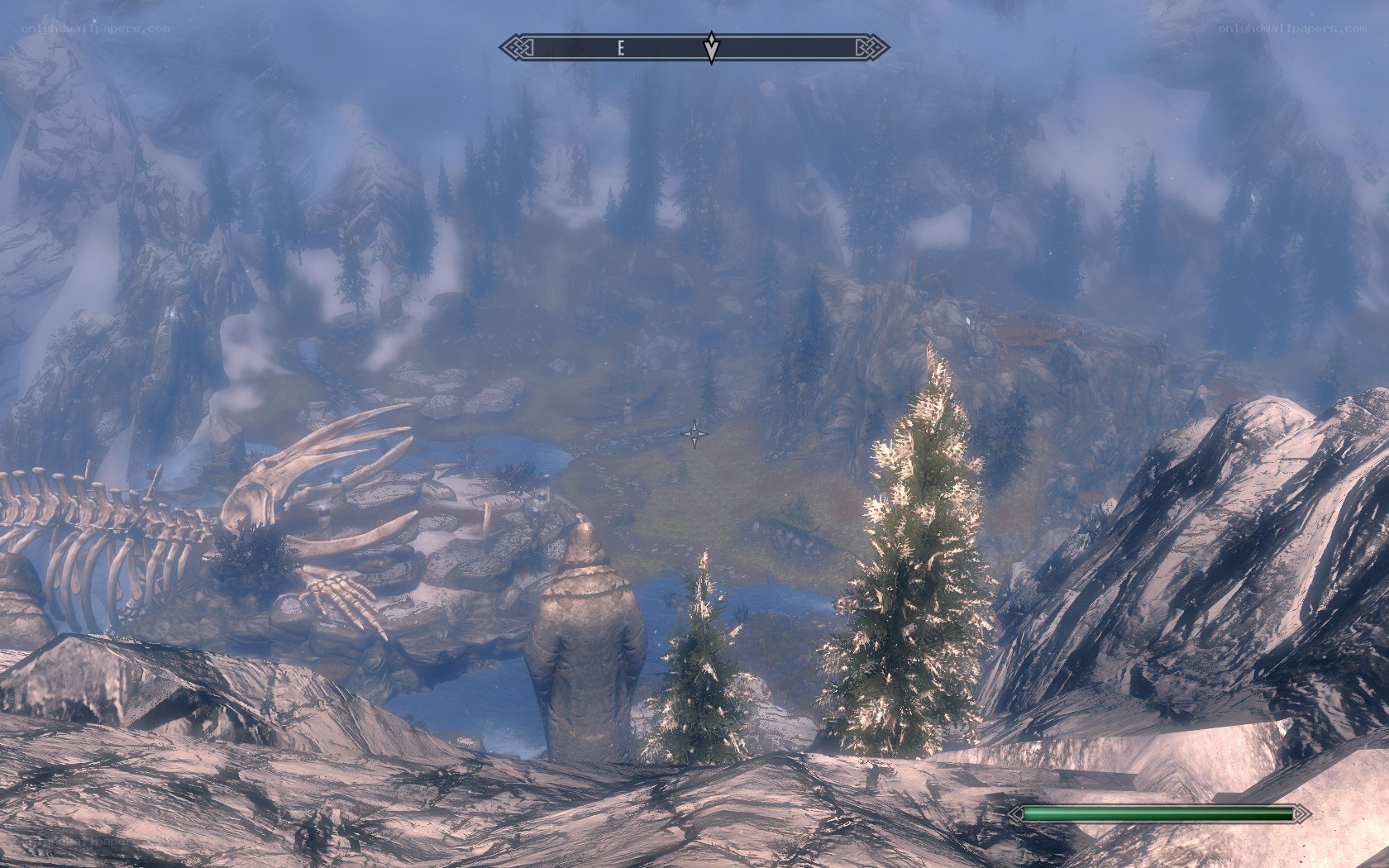 dragon skeleton in snowy valley