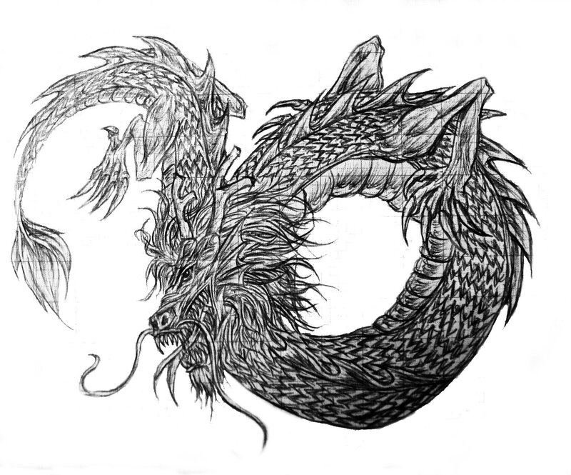 dragon sketch drawing