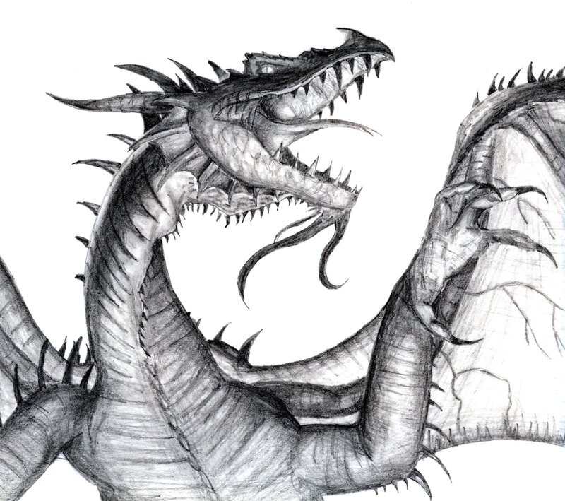 dragon sketch drawing