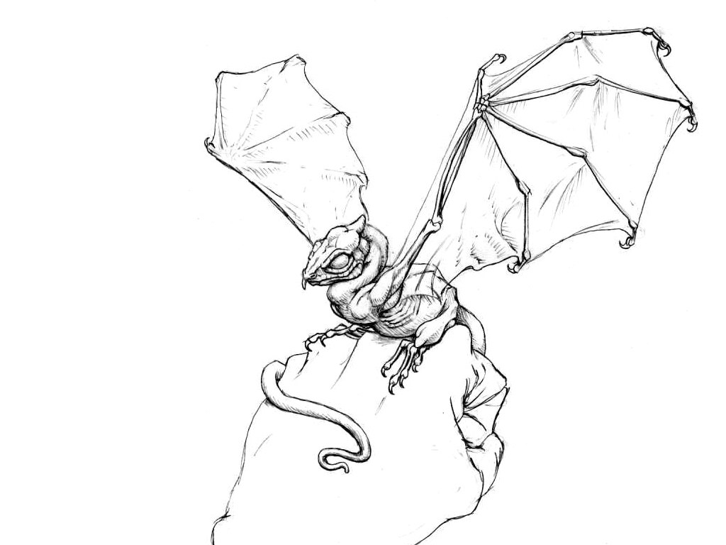 dragon sketch on rock