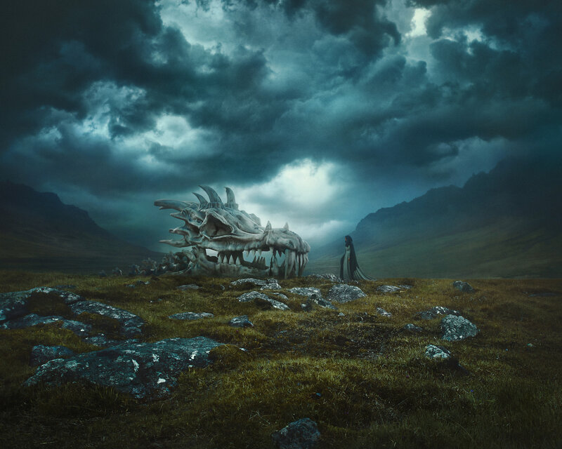 Dragon Skull in Field