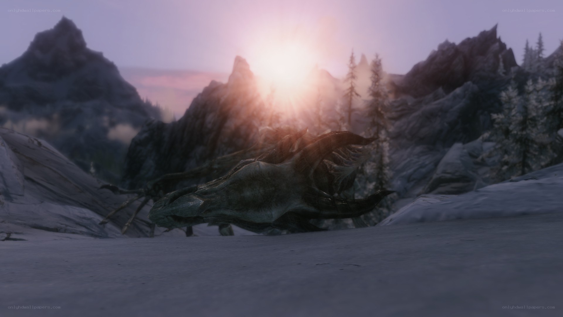 dragon skull in snowy mountains
