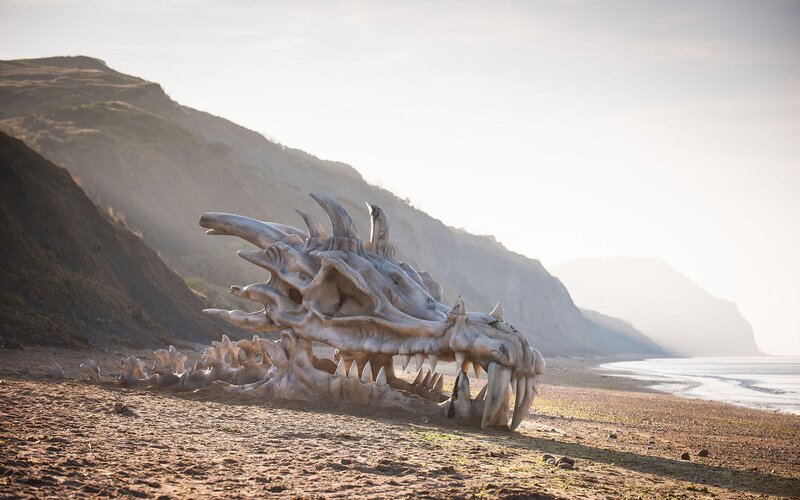 Dragon Skull on Beach — Brown