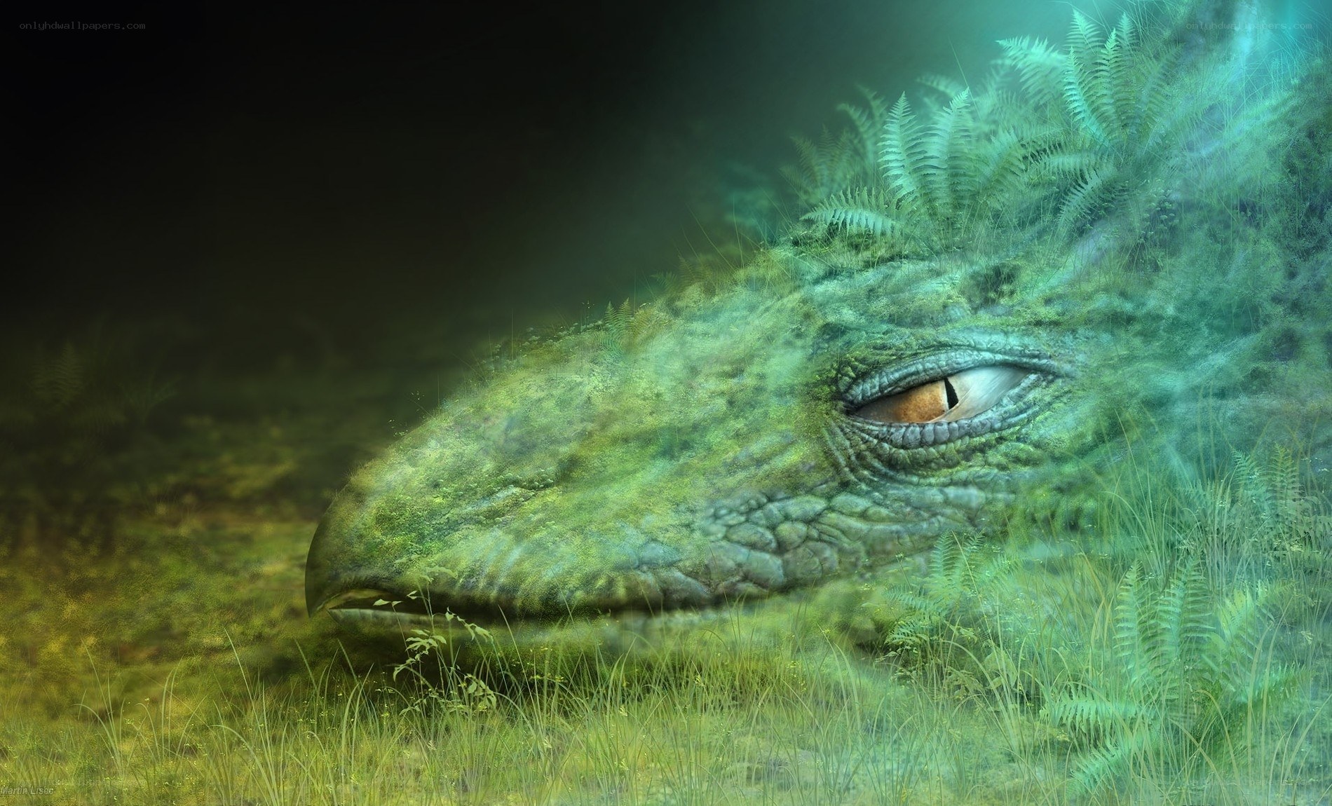 dragon sleeping in forest