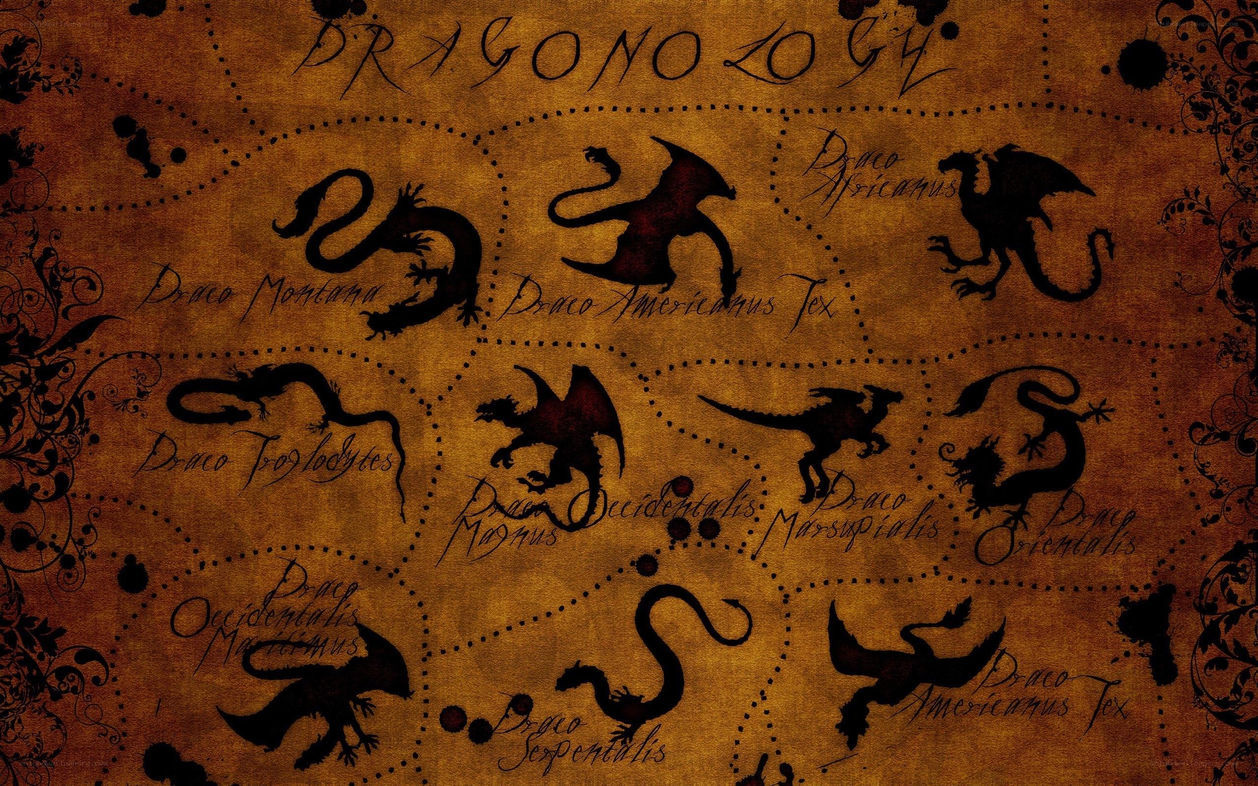 Dragon species chart