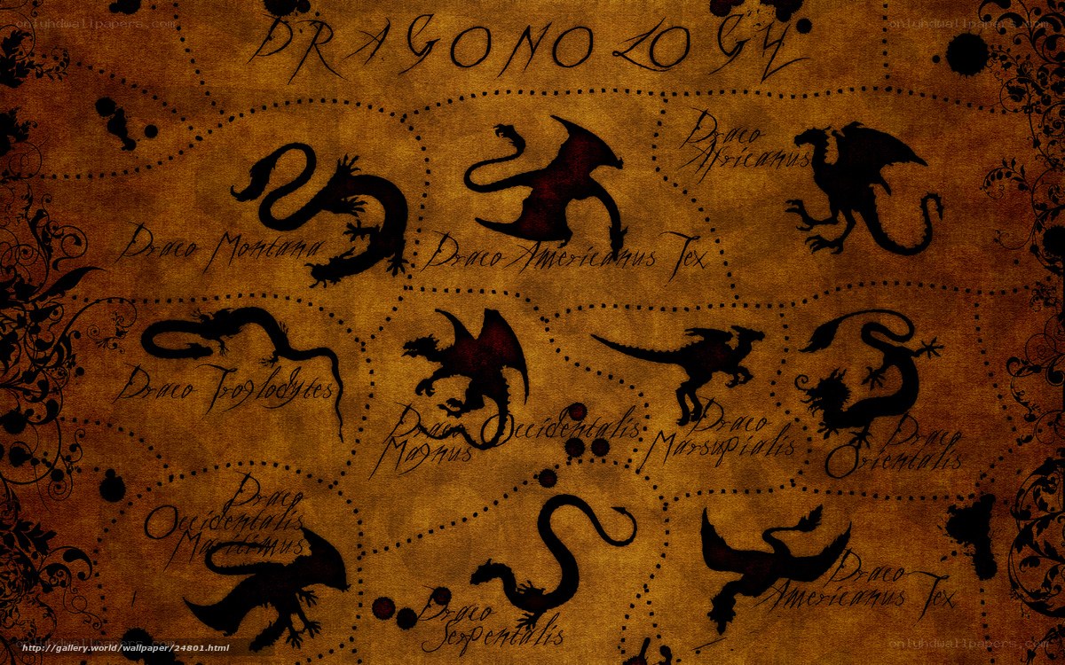 Dragon species chart
