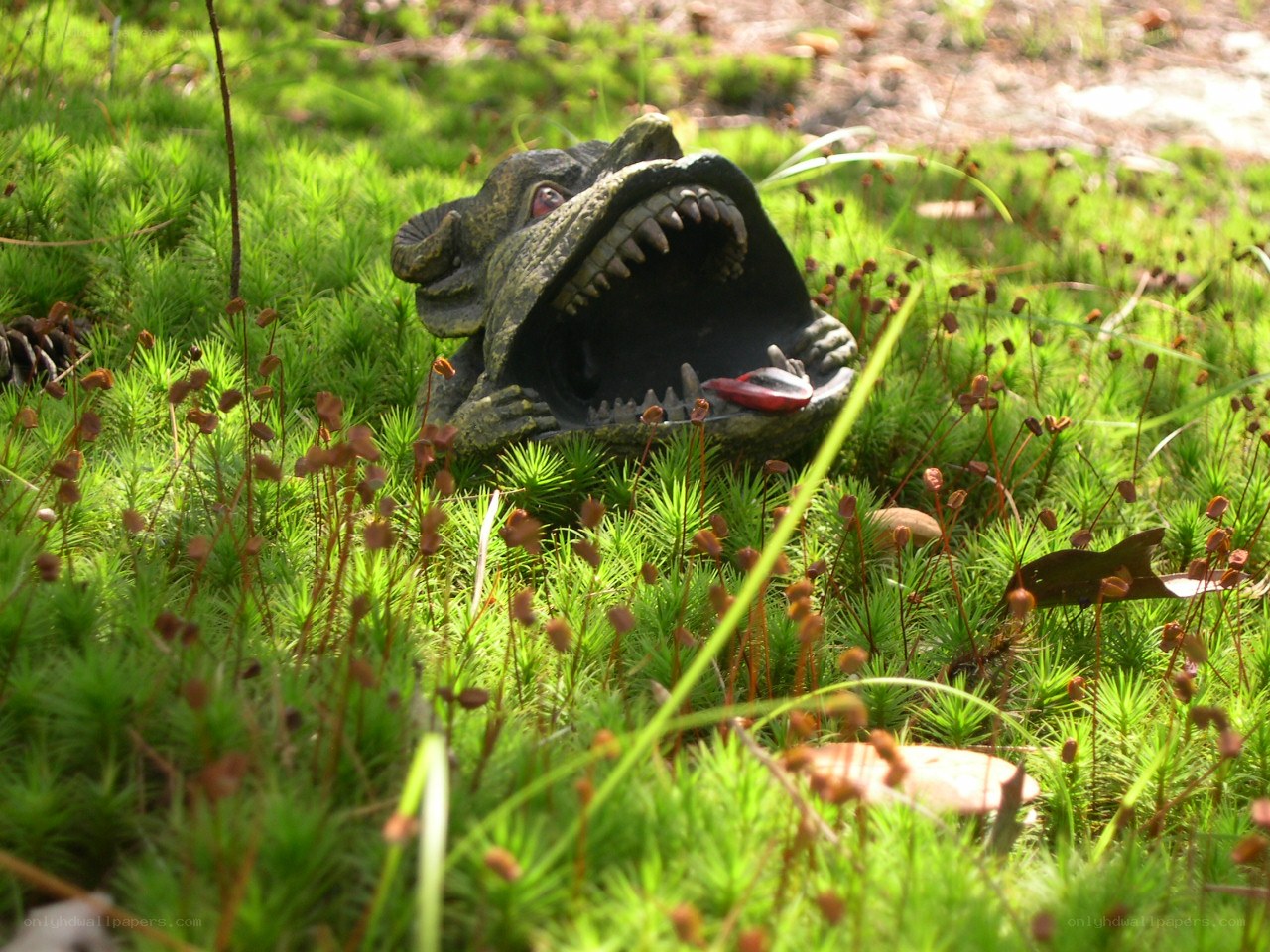 Dragon statue in mossy garden