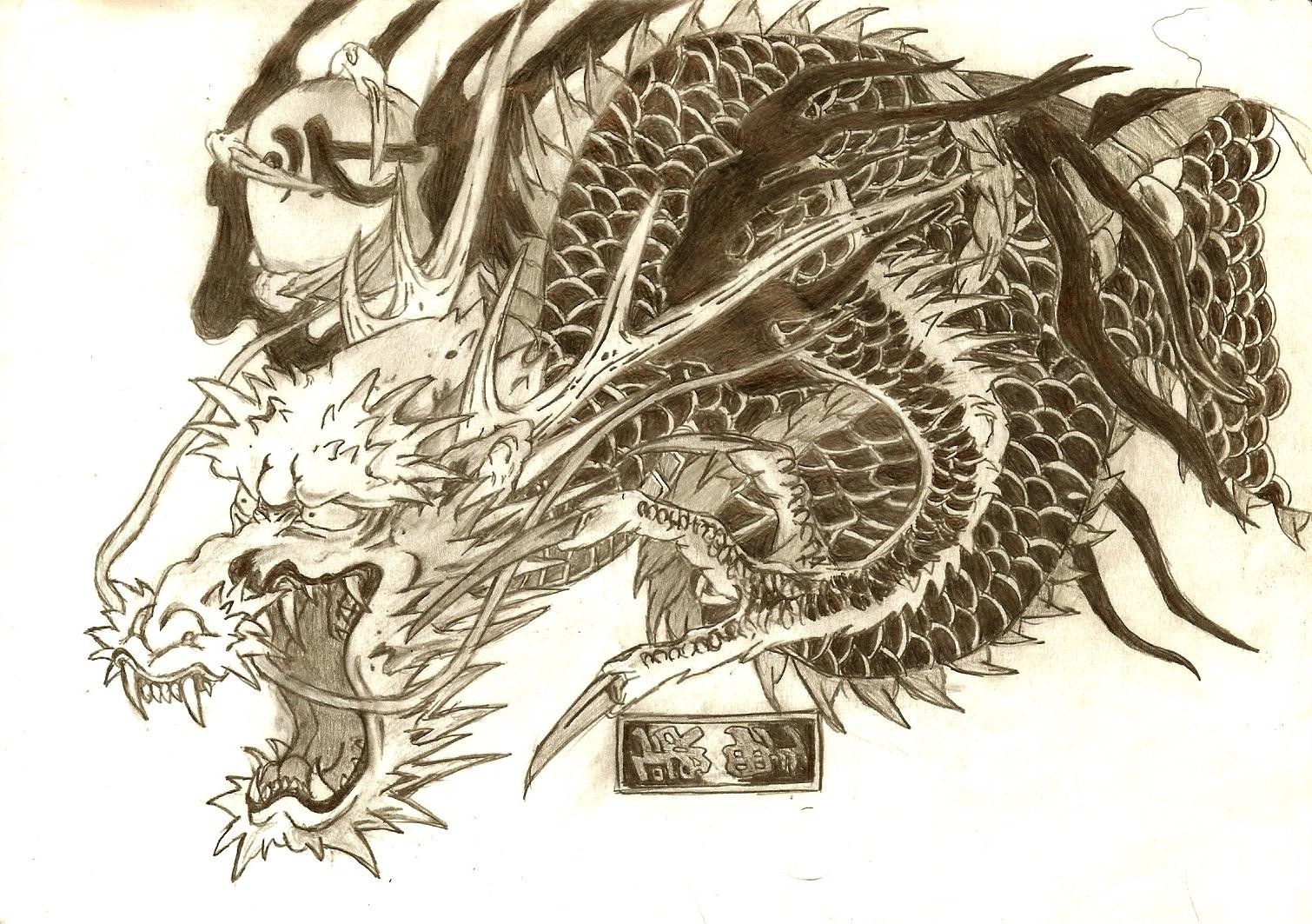 dragon tattoo design sketch