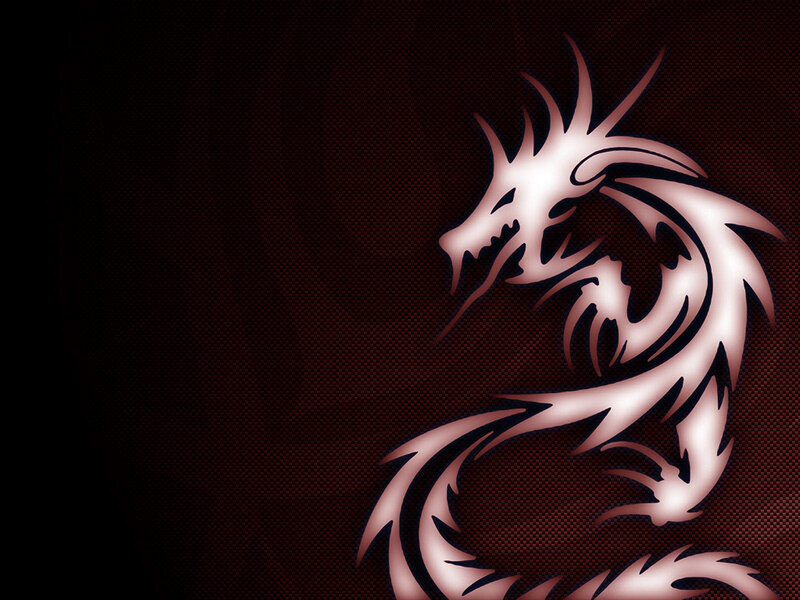 dragon tribal design wallpaper