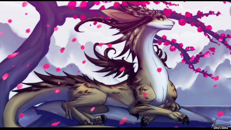 Dragon under Cherry Blossoms