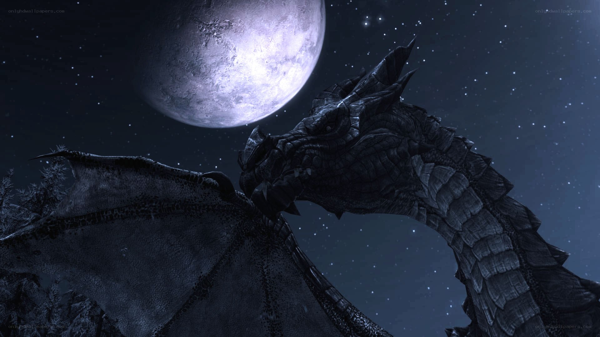 dragon under the moon