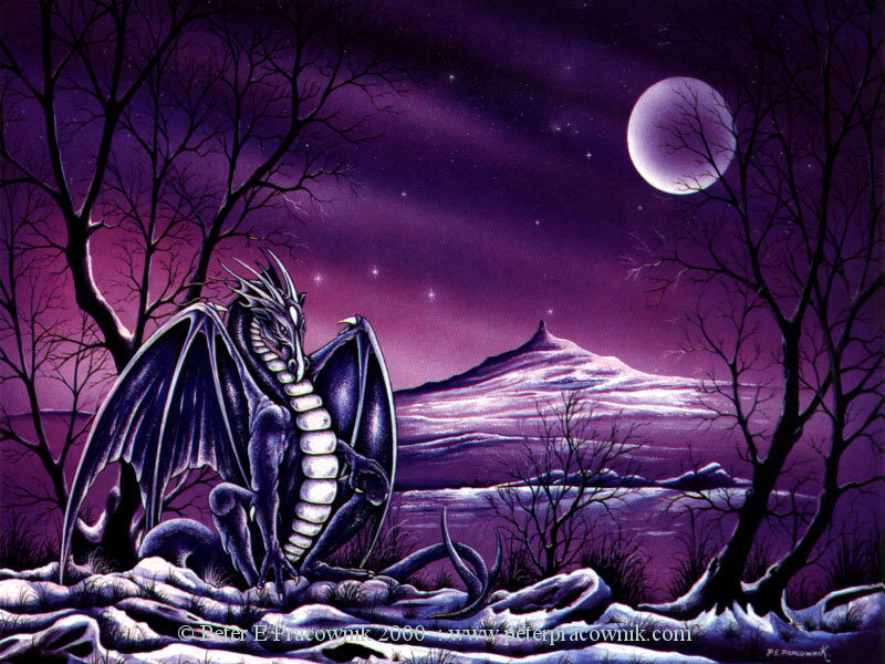 Dragon under the purple moon