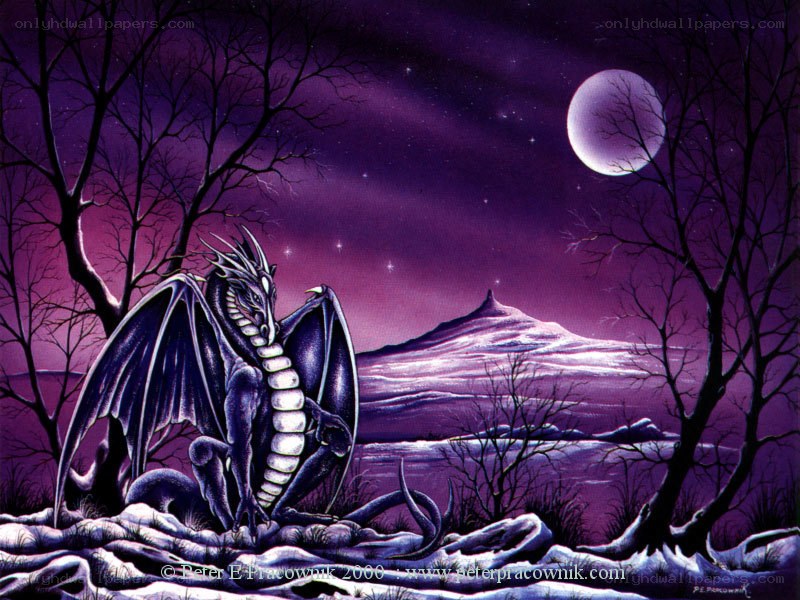 Dragon under the purple moon