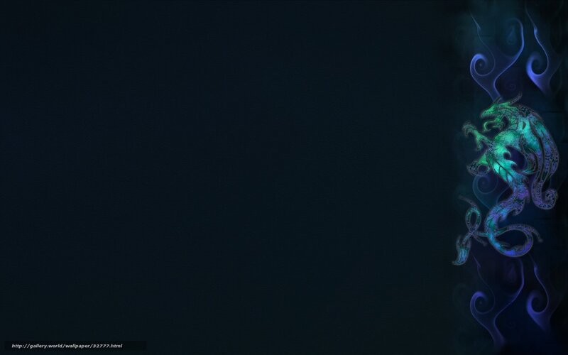 dragon wallpaper design