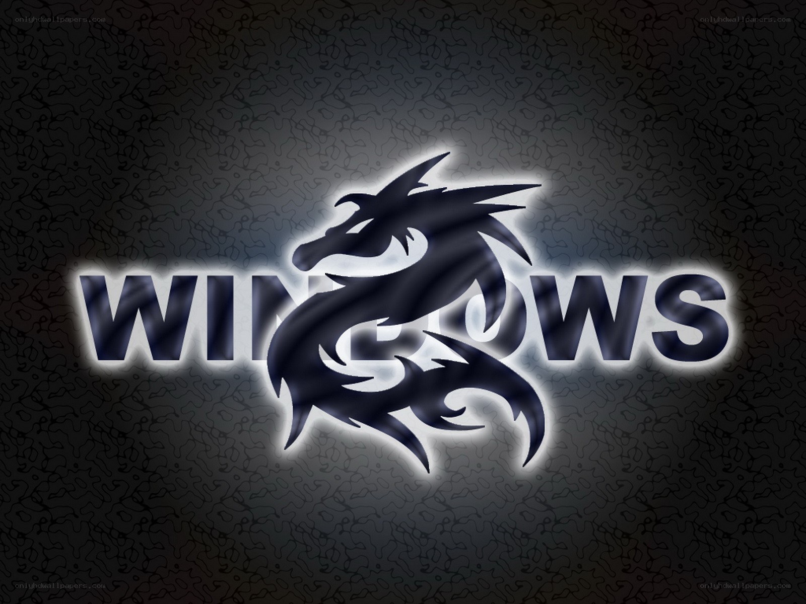Dragon Windows logo wallpaper