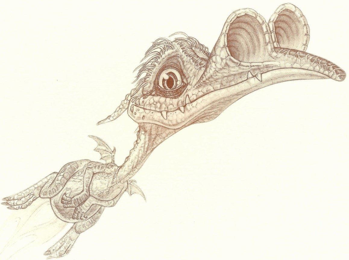 dragon with baby dragon