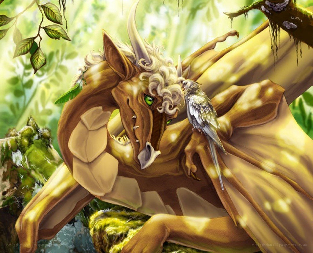 dragon with bird in forest