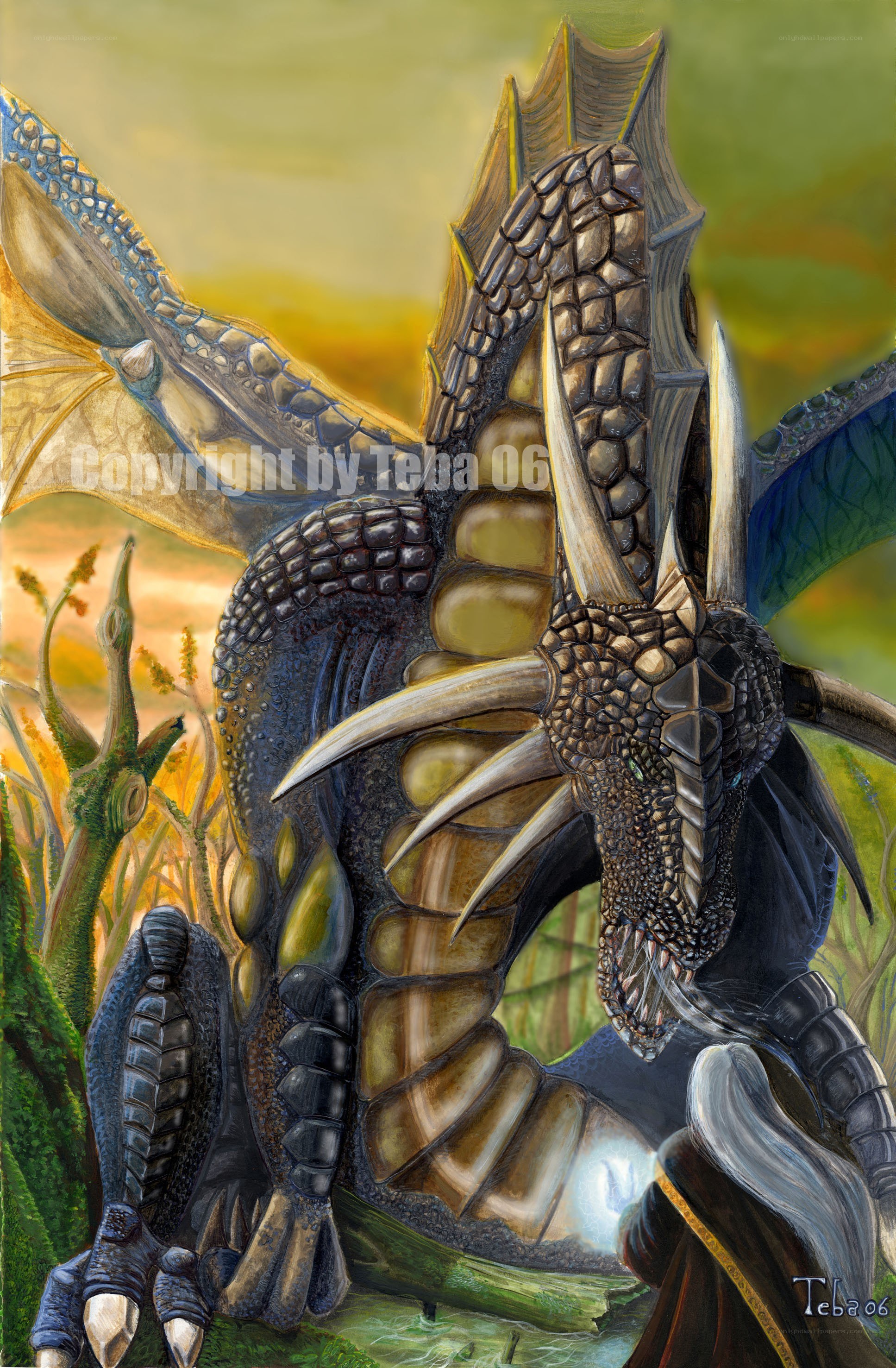 dragon with rider in sunset