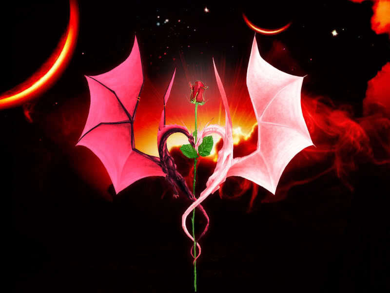 dragon with rose in space