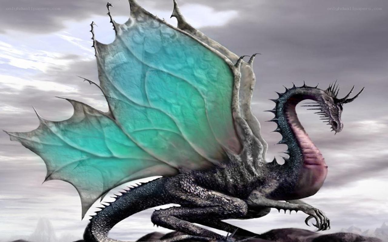 dragon with turquoise wings