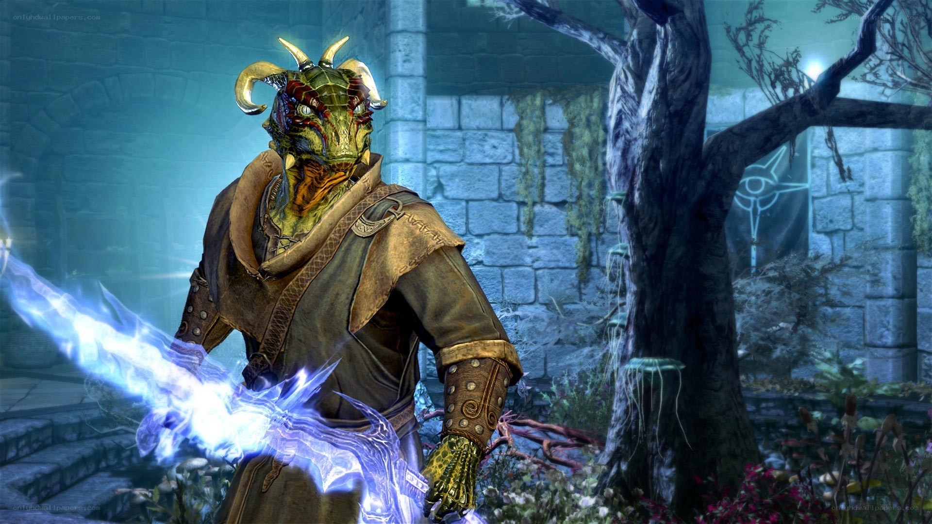 dragonborn warrior with magic sword